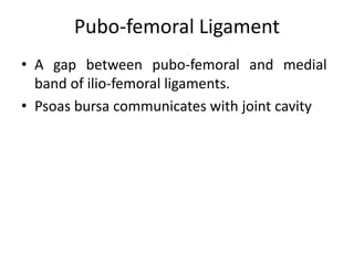 Pubo-femoral Ligament
• A gap between pubo-femoral and medial
band of ilio-femoral ligaments.
• Psoas bursa communicates with joint cavity
 
