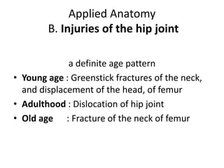 Applied Anatomy
B. Injuries of the hip joint
a definite age pattern
• Young age : Greenstick fractures of the neck,
and displacement of the head, of femur
• Adulthood : Dislocation of hip joint
• Old age : Fracture of the neck of femur
 