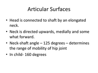 Articular Surfaces
• Head is connected to shaft by an elongated
neck.
• Neck is directed upwards, medially and some
what forward.
• Neck-shaft angle – 125 degrees – determines
the range of mobility of hip joint
• In child- 160 degrees
 