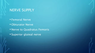 NERVE SUPPLY
• Femoral Nerve
• Obturator Nerve
• Nerve to Quadratus Femoris
• Superior gluteal nerve
 