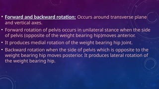 Hip joint .it's basic anatomy kinetics , kinematics is been showed in ...