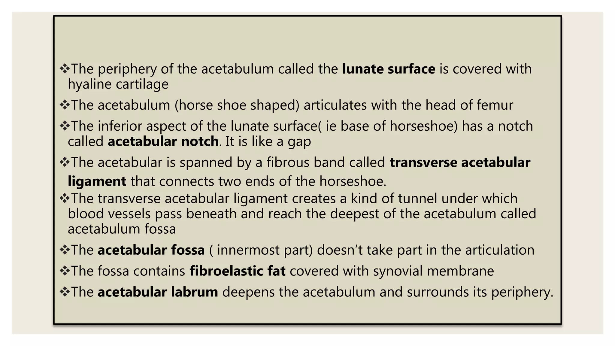 The periphery of the acetabulum called the lunate surface is covered with
hyaline cartilage
The acetabulum (horse shoe shaped) articulates with the head of femur
The inferior aspect of the lunate surface( ie base of horseshoe) has a notch
called acetabular notch. It is like a gap
The acetabular is spanned by a fibrous band called transverse acetabular
ligament that connects two ends of the horseshoe.
The transverse acetabular ligament creates a kind of tunnel under which
blood vessels pass beneath and reach the deepest of the acetabulum called
acetabulum fossa
The acetabular fossa ( innermost part) doesn’t take part in the articulation
The fossa contains fibroelastic fat covered with synovial membrane
The acetabular labrum deepens the acetabulum and surrounds its periphery.
 