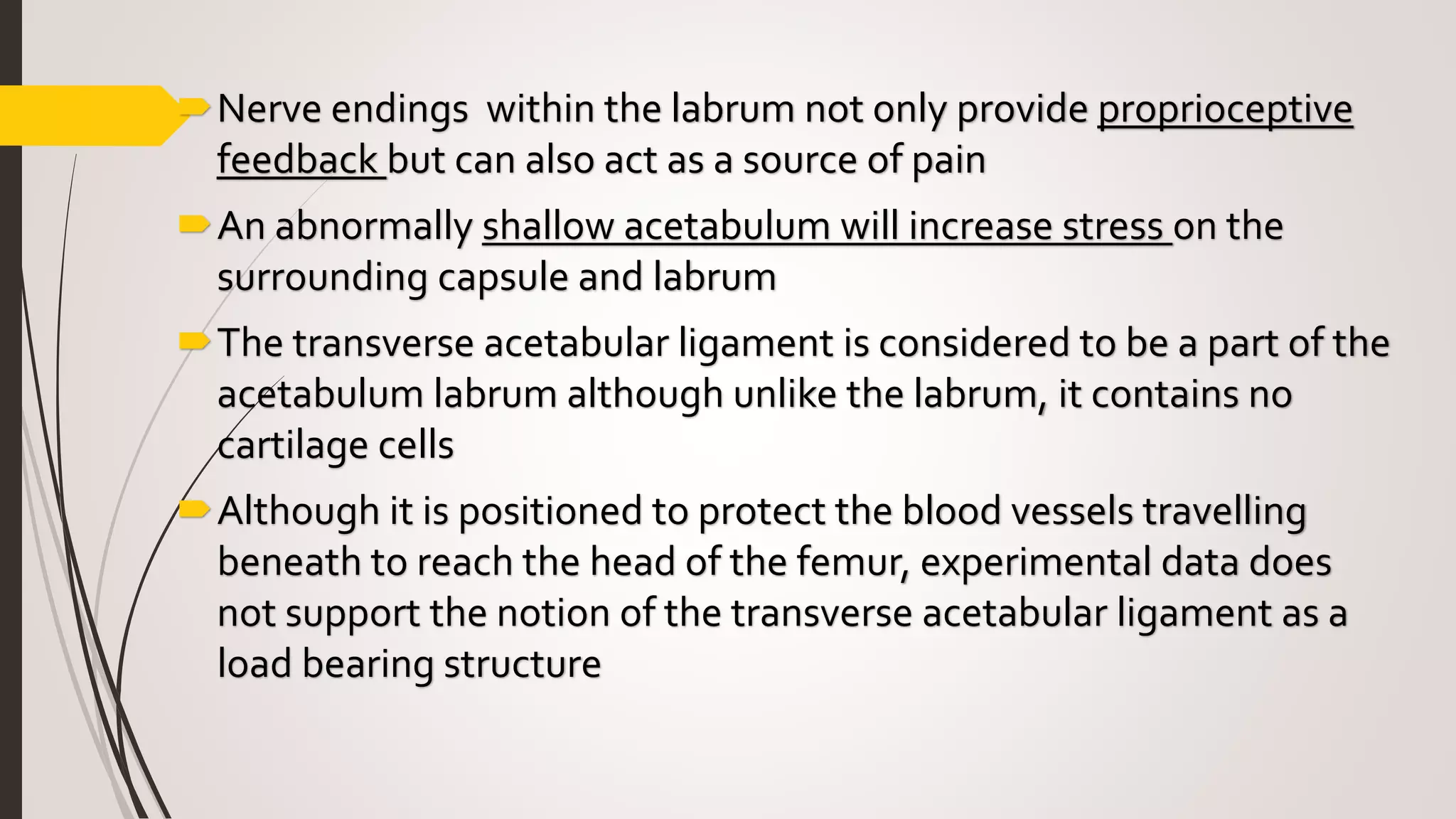 Nerve endings within the labrum not only provide proprioceptive
feedback but can also act as a source of pain
An abnormally shallow acetabulum will increase stress on the
surrounding capsule and labrum
The transverse acetabular ligament is considered to be a part of the
acetabulum labrum although unlike the labrum, it contains no
cartilage cells
Although it is positioned to protect the blood vessels travelling
beneath to reach the head of the femur, experimental data does
not support the notion of the transverse acetabular ligament as a
load bearing structure
 