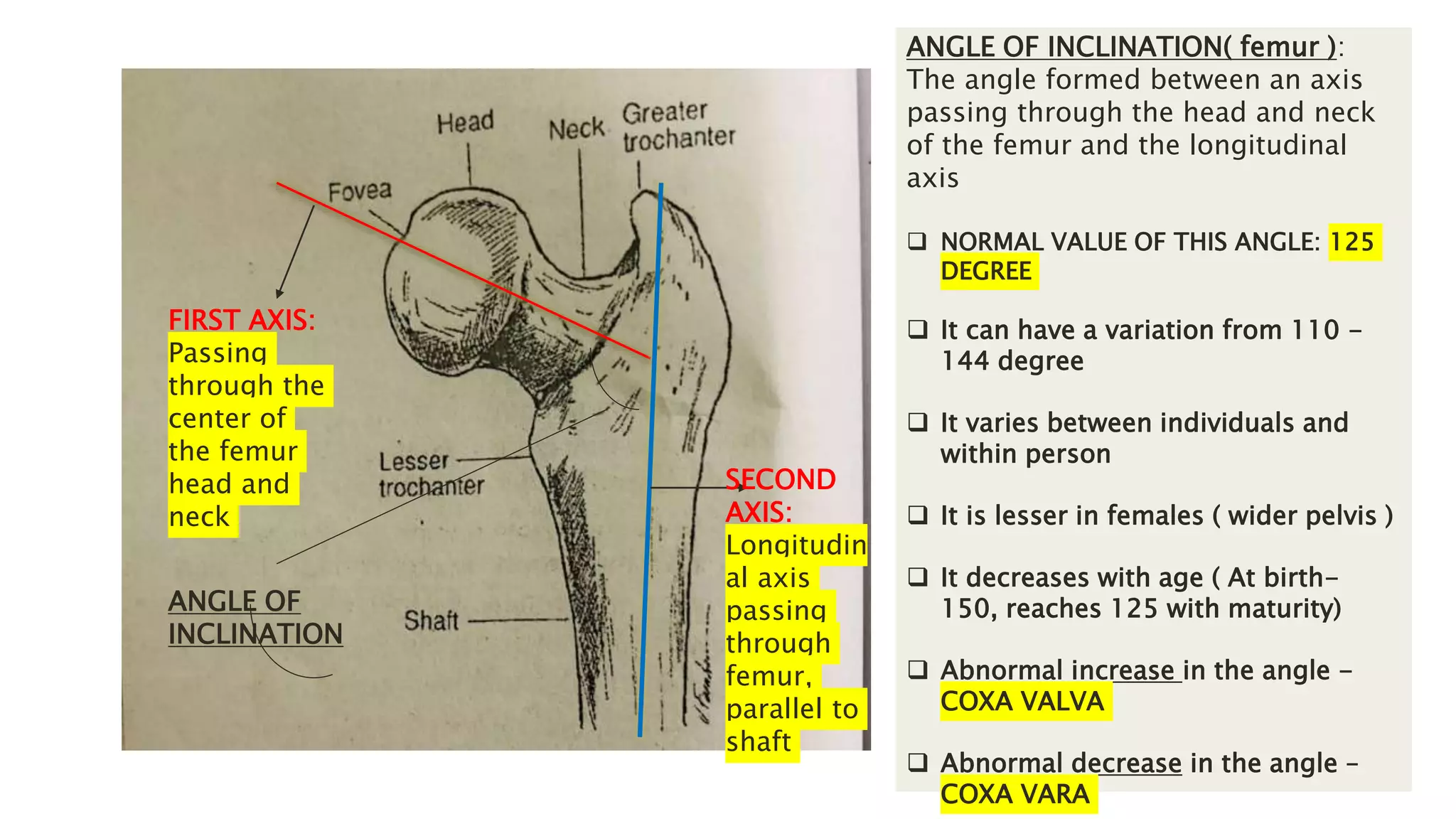 FIRST AXIS:
Passing
through the
center of
the femur
head and
neck
SECOND
AXIS:
Longitudin
al axis
passing
through
femur,
parallel to
shaft
ANGLE OF INCLINATION( femur ):
The angle formed between an axis
passing through the head and neck
of the femur and the longitudinal
axis
 NORMAL VALUE OF THIS ANGLE: 125
DEGREE
 It can have a variation from 110 -
144 degree
 It varies between individuals and
within person
 It is lesser in females ( wider pelvis )
 It decreases with age ( At birth-
150, reaches 125 with maturity)
 Abnormal increase in the angle -
COXA VALVA
 Abnormal decrease in the angle –
COXA VARA
ANGLE OF
INCLINATION
 