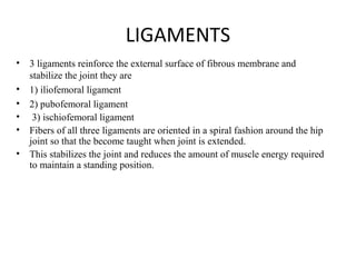LIGAMENTS
• 3 ligaments reinforce the external surface of fibrous membrane and
stabilize the joint they are
• 1) iliofemoral ligament
• 2) pubofemoral ligament
• 3) ischiofemoral ligament
• Fibers of all three ligaments are oriented in a spiral fashion around the hip
joint so that the become taught when joint is extended.
• This stabilizes the joint and reduces the amount of muscle energy required
to maintain a standing position.
 