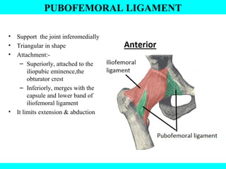 PUBOFEMORAL LIGAMENT
• Support the joint inferomedially
• Triangular in shape
• Attachment:-
– Superiorly, attached to the
iliopubic eminence,the
obturator crest
– Inferiorly, merges with the
capsule and lower band of
iliofemoral ligament
• It limits extension & abduction
 