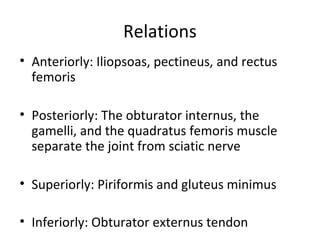 Relations
• Anteriorly: Iliopsoas, pectineus, and rectus
femoris
• Posteriorly: The obturator internus, the
gamelli, and the quadratus femoris muscle
separate the joint from sciatic nerve
• Superiorly: Piriformis and gluteus minimus
• Inferiorly: Obturator externus tendon
 