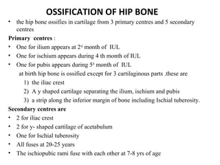 OSSIFICATION OF HIP BONE
• the hip bone ossifies in cartilage from 3 primary centres and 5 secondary
centres
Primary centres :
• One for ilium appears at 2nd
month of IUL
• One for ischium appears during 4 th month of IUL
• One for pubis appears during 5th
month of IUL
at birth hip bone is ossified except for 3 cartilaginous parts .these are
1) the iliac crest
2) A y shaped cartilage separating the ilium, ischium and pubis
3) a strip along the inferior margin of bone including Ischial tuberosity.
Secondary centres are
• 2 for iliac crest
• 2 for y- shaped cartilage of acetabulum
• One for Ischial tuberosity
• All fuses at 20-25 years
• The ischiopubic rami fuse with each other at 7-8 yrs of age
 