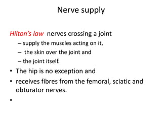 Nerve supply
Hilton’s law nerves crossing a joint
– supply the muscles acting on it,
– the skin over the joint and
– the joint itself.
• The hip is no exception and
• receives fibres from the femoral, sciatic and
obturator nerves.
•
 