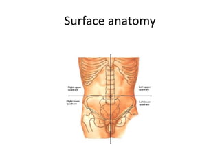 Surface anatomy
 