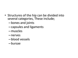 • Structures of the hip can be divided into
several categories, These include;
–bones and joints
–capsules and ligaments
–muscles
–nerves
–blood vessels
–bursae
 