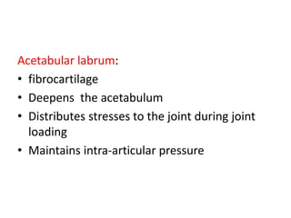 Acetabular labrum:
• fibrocartilage
• Deepens the acetabulum
• Distributes stresses to the joint during joint
loading
• Maintains intra-articular pressure
 