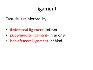 ligament
Capsule is reinforced by
• iliofemoral ligament,-infront
• pubofemoral ligament- inferiorly
• ischiofemoral ligament- behind
 