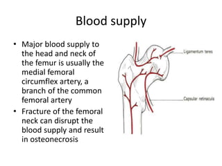 Blood supply
• Major blood supply to
the head and neck of
the femur is usually the
medial femoral
circumflex artery, a
branch of the common
femoral artery
• Fracture of the femoral
neck can disrupt the
blood supply and result
in osteonecrosis
 
