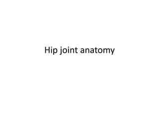 Hip joint anatomy
 