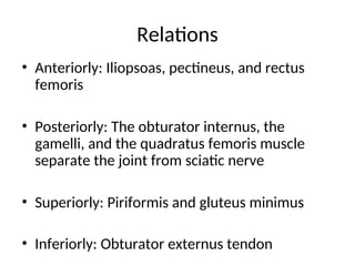 Relations
• Anteriorly: Iliopsoas, pectineus, and rectus
femoris
• Posteriorly: The obturator internus, the
gamelli, and the quadratus femoris muscle
separate the joint from sciatic nerve
• Superiorly: Piriformis and gluteus minimus
• Inferiorly: Obturator externus tendon
 