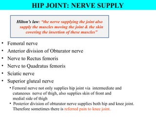 HIP JOINT: NERVE SUPPLY
• Femoral nerve
• Anterior division of Obturator nerve
• Nerve to Rectus femoris
• Nerve to Quadratus femoris
• Sciatic nerve
• Superior gluteal nerve
Hilton’s law: “the nerve supplying the joint also
supply the muscles moving the joint & the skin
covering the insertion of these muscles”
• Femoral nerve not only supplies hip joint via intermediate and
cutaneous nerve of thigh, also supplies skin of front and
medial side of thigh
• Posterior division of obturator nerve supplies both hip and knee joint.
Therefore sometimes there is referred pain to knee joint.
 