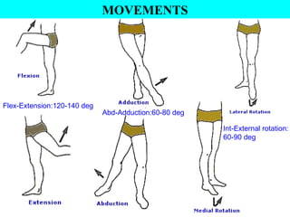 MOVEMENTS
Flex-Extension:120-140 deg
Abd-Adduction:60-80 deg
Int-External rotation:
60-90 deg
 