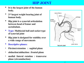  It is the largest joint of the human
body.
 2nd
largest weight bearing joint of
human body.
 Hip joint is a synovial articulation
between head of femur and
acetabulum .
 Type: Multiaxial ball and socket type
of synovial joint
 Hip joint is designed for stability over
a wide range of movements
 Descriptive planes:
• Flexion/extension : sagittal plane
• abduction/adduction : frontal plane
• medial /lateral rotation : transverse
plane (circumduction)
2
HIP JOINT
 