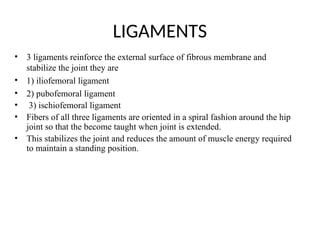 LIGAMENTS
• 3 ligaments reinforce the external surface of fibrous membrane and
stabilize the joint they are
• 1) iliofemoral ligament
• 2) pubofemoral ligament
• 3) ischiofemoral ligament
• Fibers of all three ligaments are oriented in a spiral fashion around the hip
joint so that the become taught when joint is extended.
• This stabilizes the joint and reduces the amount of muscle energy required
to maintain a standing position.
 