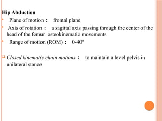 Hip Rotation Axes Hip joint biomechanics and pathomechanics | PDF