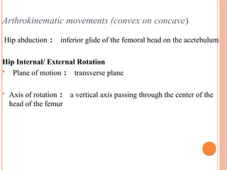 Transverse Hip Rotation Hip joint biomechanics and pathomechanics | PDF