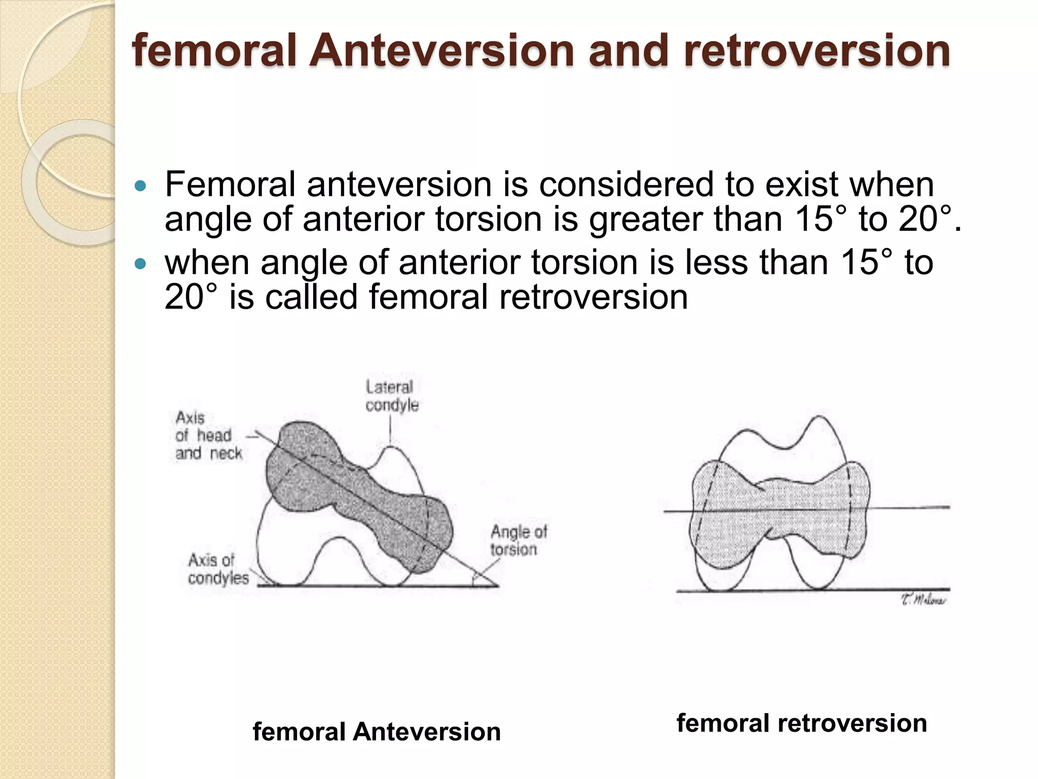 Hip joint biomecanics | PPTX