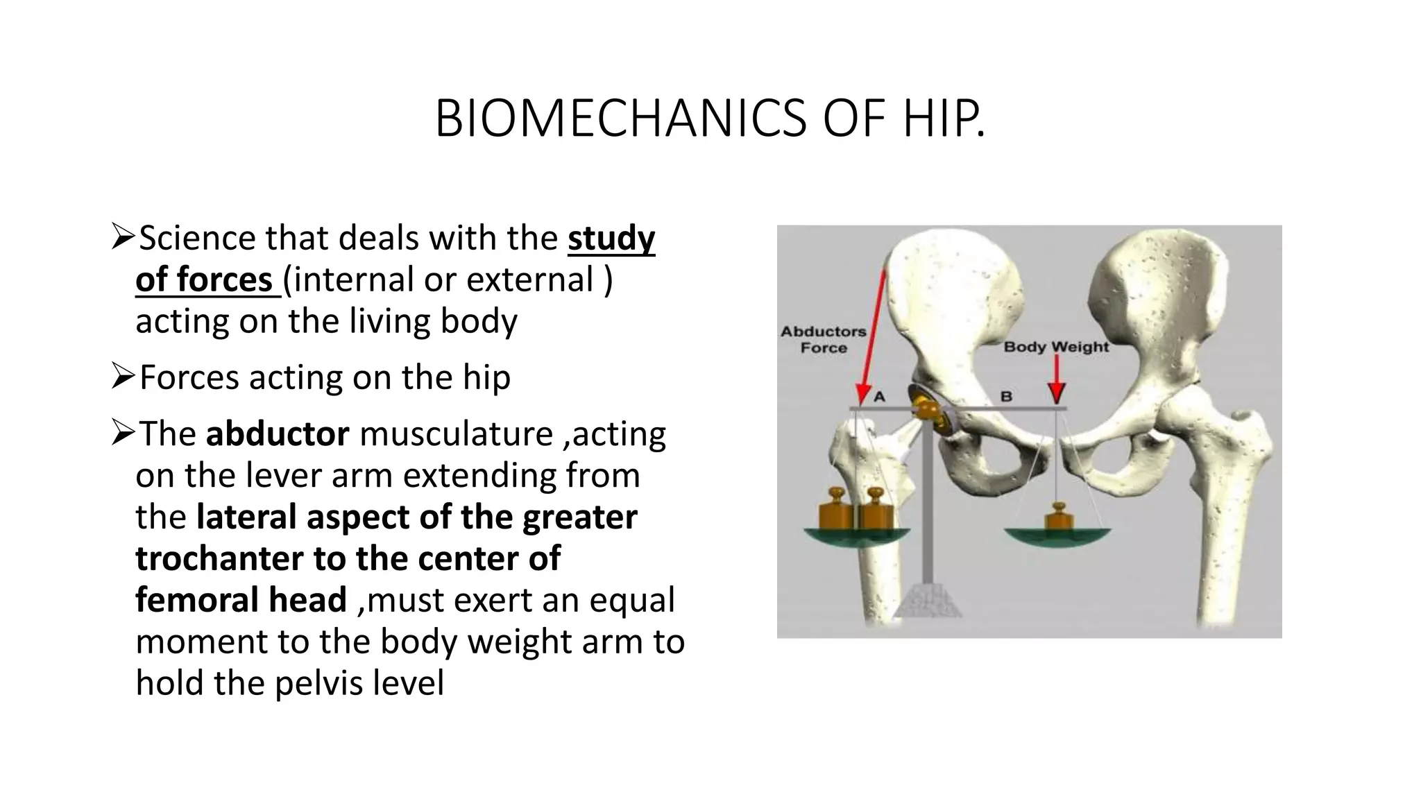 Hip joint biomechanics | PPTX