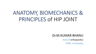ANATOMY, BIOMECHANICS &
PRINCIPLES of HIP JOINT
Dr.M.KUMAR BHANU
Dept of orthopaedics
KIMS ,narketpally.
 