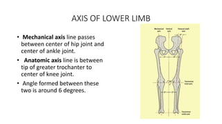 AXIS OF LOWER LIMB
• Mechanical axis line passes
between center of hip joint and
center of ankle joint.
• Anatomic axis line is between
tip of greater trochanter to
center of knee joint.
• Angle formed between these
two is around 6 degrees.
 