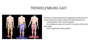 TRENDELENBURG GAIT
The factors influencing both the magnitude and the direction
of the compressive forces acting on the femoral head are
1) the position of the center of gravity
2) the abductor lever arm, which is a function of the neck-
shaft angle
3) the magnitude of body weight
 