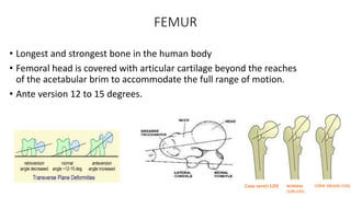 FEMUR
• Longest and strongest bone in the human body
• Femoral head is covered with articular cartilage beyond the reaches
of the acetabular brim to accommodate the full range of motion.
• Ante version 12 to 15 degrees.
Coxa vara(<120) NORMAL
(120-135)
COXA VALGA(>135)
 