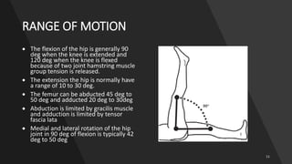 hip joint biomechanics with well defined motions and range of motions | PDF