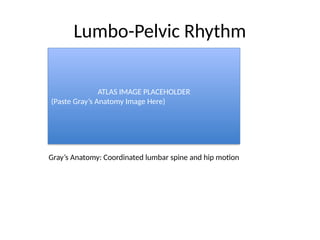 Hip_Joint_Biomechanics_Atlas_Placeholder_BPT_3rd_Year.pptx