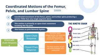 Biomechanics of the Hip Joint or Hip complex | PPTX