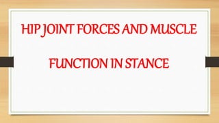 HIP JOINT FORCES AND MUSCLE
FUNCTION IN STANCE
 