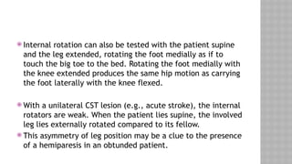 hip joint muscles ppt SEMINAR by dr samay singh mina .pptx