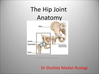 The Hip Joint 
Anatomy 
From Arthroscopic hip surgeon.com 
Dr Shaifaly Madan Rustagi 
 