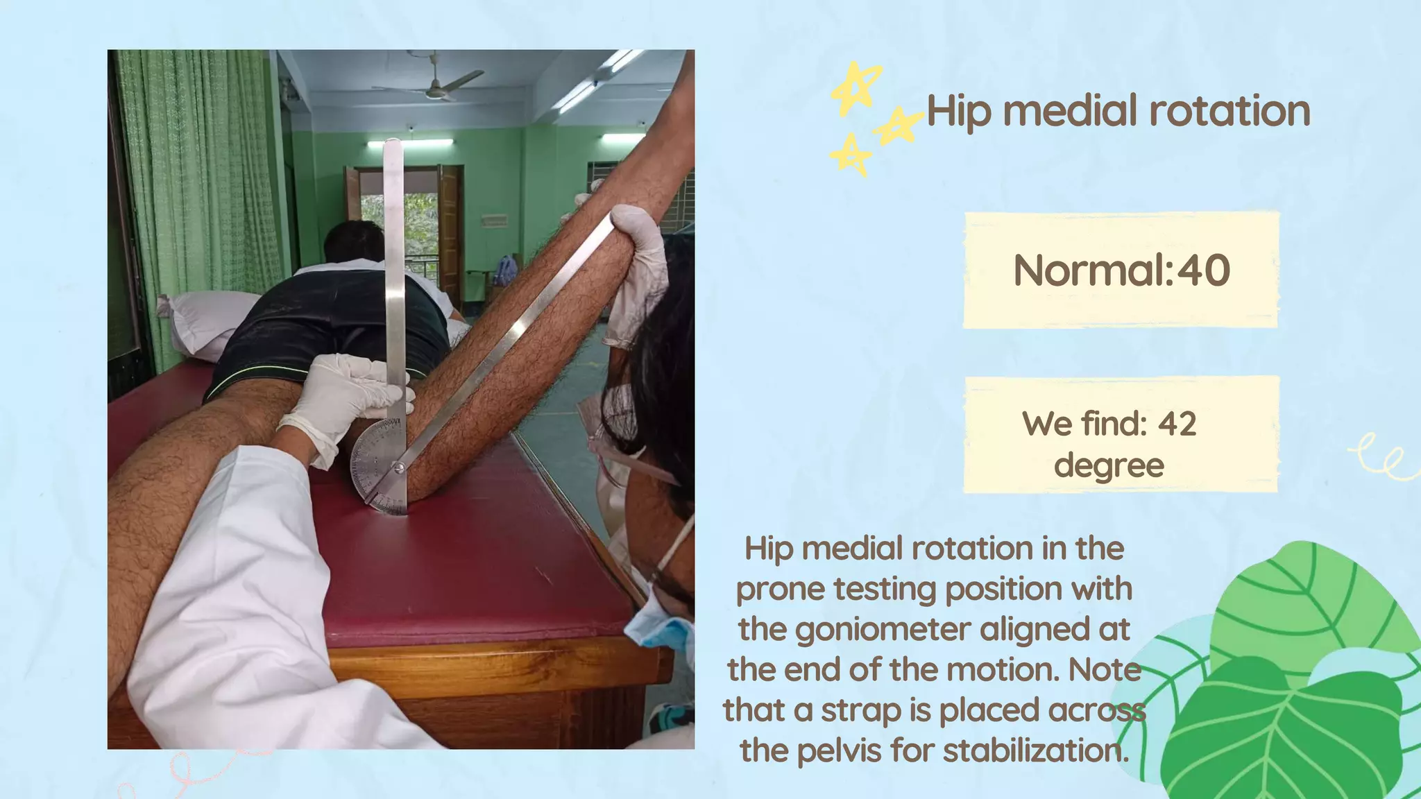 hip joint (rom&ms) 2.pptx