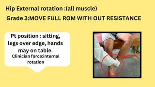hip joint (rom&ms) 2.pptx