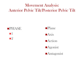 Movement Analysis:
Anterior Pelvic Tilt/Posterior Pelvic Tilt
Plane
Axis
Action
Agonist
Antagonist
29
PHASE
1
2
 
