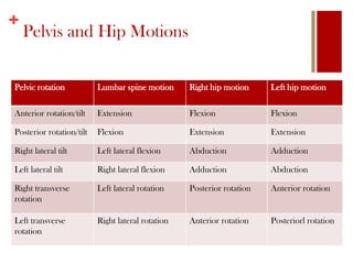 +
Pelvis and Hip Motions
Pelvic rotation Lumbar spine motion Right hip motion Left hip motion
Anterior rotation/tilt Extension Flexion Flexion
Posterior rotation/tilt Flexion Extension Extension
Right lateral tilt Left lateral flexion Abduction Adduction
Left lateral tilt Right lateral flexion Adduction Abduction
Right transverse
rotation
Left lateral rotation Posterior rotation Anterior rotation
Left transverse
rotation
Right lateral rotation Anterior rotation Posteriorl rotation
 