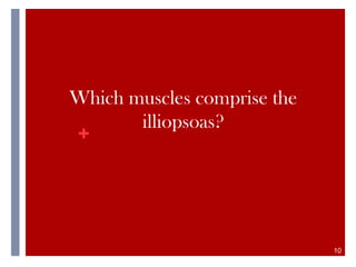 +
Which muscles comprise the
illiopsoas?
10
 