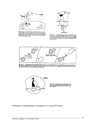 ____________________________________________________________________________________________
Profa. Dra. Angela C. L. B. Trindade - UFPR
4
Metabolismo: N-desalquilação e conjugação com o grupo OH fenólico.
 