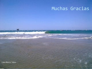 Muchas Gracias

Cabo Blanco, Talara

 