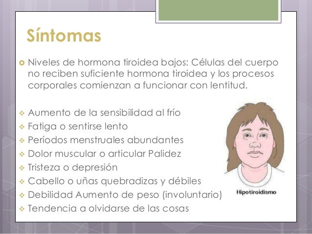 El valor calórico y el contenido de las grasas en los platos preparados