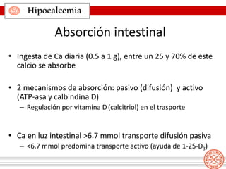 Hipocalcemia
Absorción intestinal
• Ingesta de Ca diaria (0.5 a 1 g), entre un 25 y 70% de este
calcio se absorbe
• 2 mecanismos de absorción: pasivo (difusión) y activo
(ATP-asa y calbindina D)
– Regulación por vitamina D (calcitriol) en el trasporte
• Ca en luz intestinal >6.7 mmol transporte difusión pasiva
– <6.7 mmol predomina transporte activo (ayuda de 1-25-D3)
 