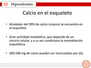 Hipocalcemia
• Alrededor del 99% de calcio corporal se encuentra en
el esqueleto.
• Gran actividad metabólica, que depende de un
sincicio celular, y a su vez condiciona la remodelación
esquelética.
• 300-500 mg de calcio pueden ser recirculados por día.
Calcio en el esqueleto
 
