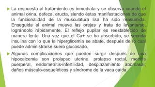  La respuesta al tratamiento es inmediata y se observa cuando el
animal orina, defeca, eructa, siendo éstas manifestaciones de que
la funcionalidad de la musculatura lisa ha sido reasumida.
Enseguida el animal mueve las orejas y trata de levantarse,
lográndolo rápidamente. El reflejo pupilar es reestablecido de
manera lenta. Una vez que el Ca+ se ha absorbido, se secreta
insulina con lo que la hiperglicemia se abate, después de lo cual
puede administrarse suero glucosado.
 Algunas complicaciones que pueden surgir después de una
hipocalcemia son prolapso uterino, prolapso rectal, metritis
puerperal, endometritis-infertilidad, desplazamiento abomasal,
daños músculo-esqueléticos y síndrome de la vaca caída.
 