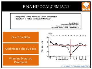 17
E NA HIPOCALCEMIA???
10.3168/jds.S0022-0302(84)81657-4
Ca e P na dieta
Alcalinidade alta ou baixa
Vitamina D oral ou
Parenteral
 